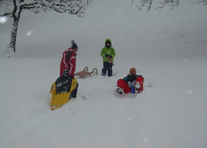 Apartament Landgut Feuersang *